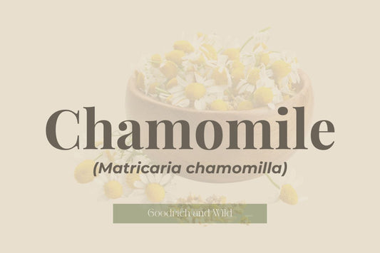 Chamomile (Matricaria chamomilla)